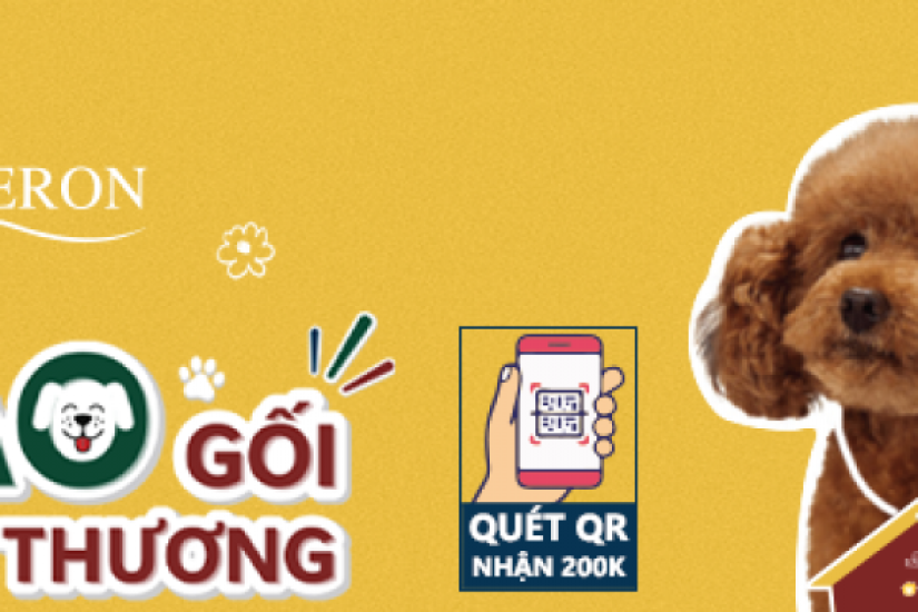 Trao gối, gửi yêu thương - Động vật cũng có quyền ngủ ngon!