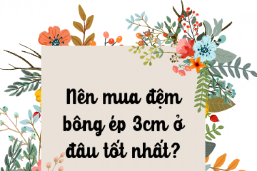 Nên mua đệm bông ép 3cm ở đâu tốt nhất?